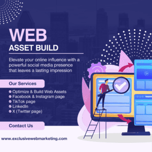 Web Asset Build